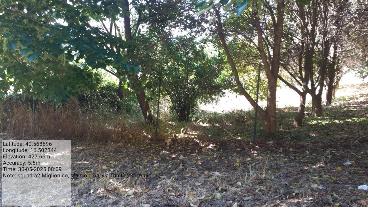 Galleria Fotografica Immagine