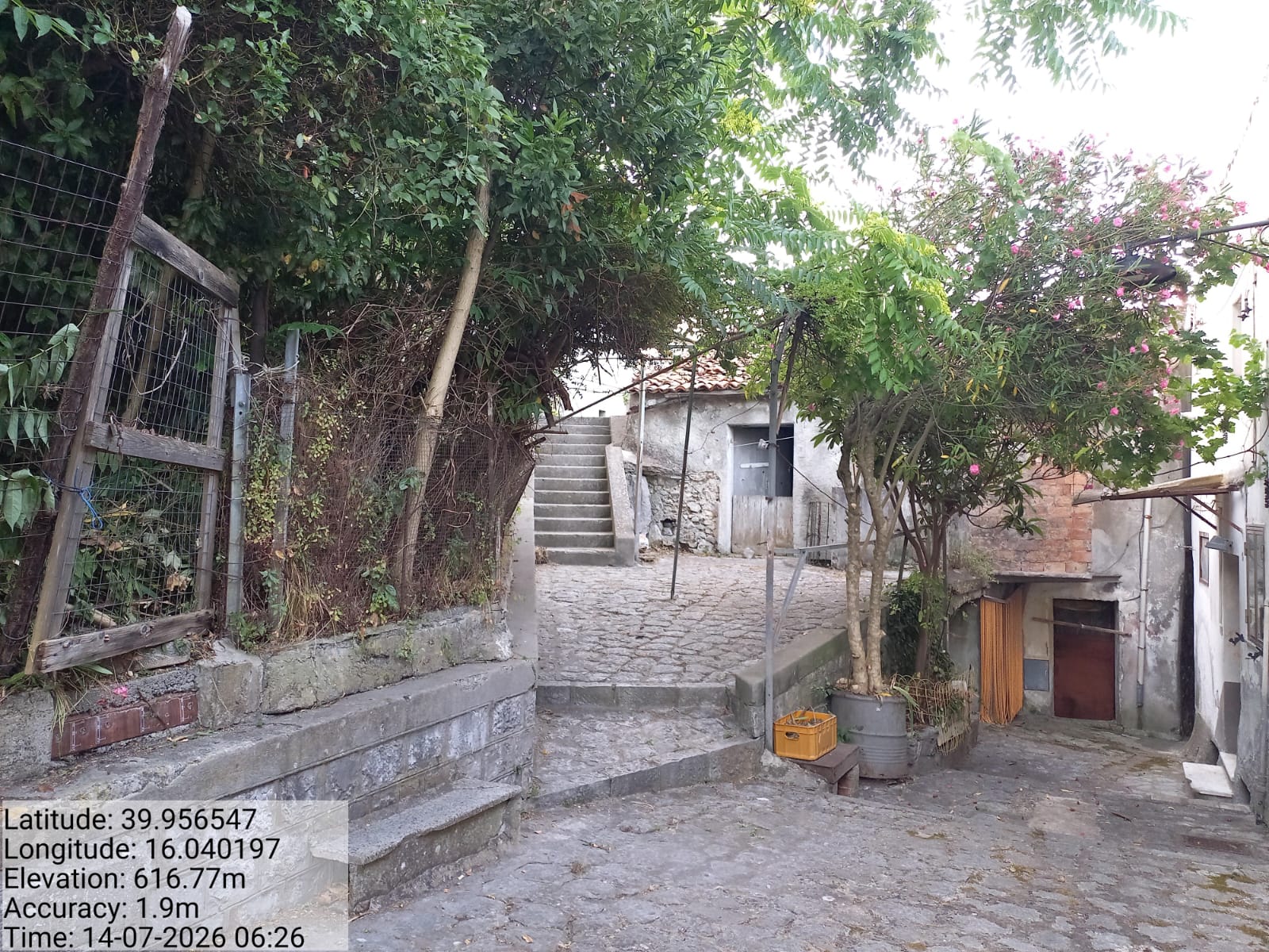 Galleria Fotografica Immagine