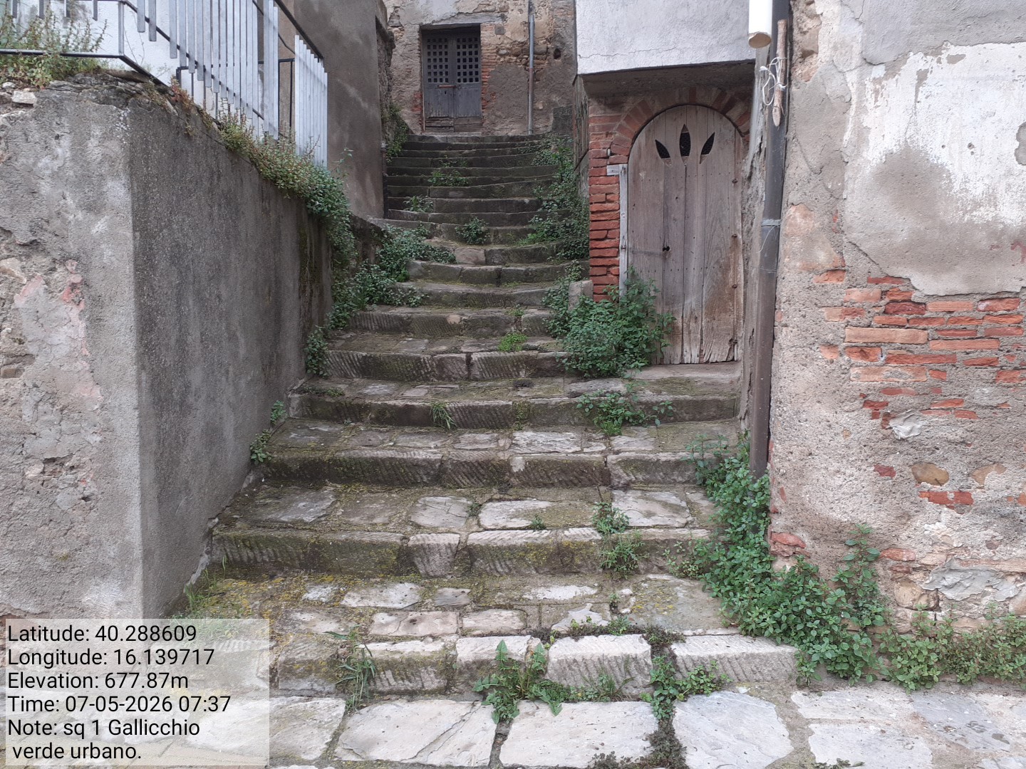 Galleria Fotografica Immagine