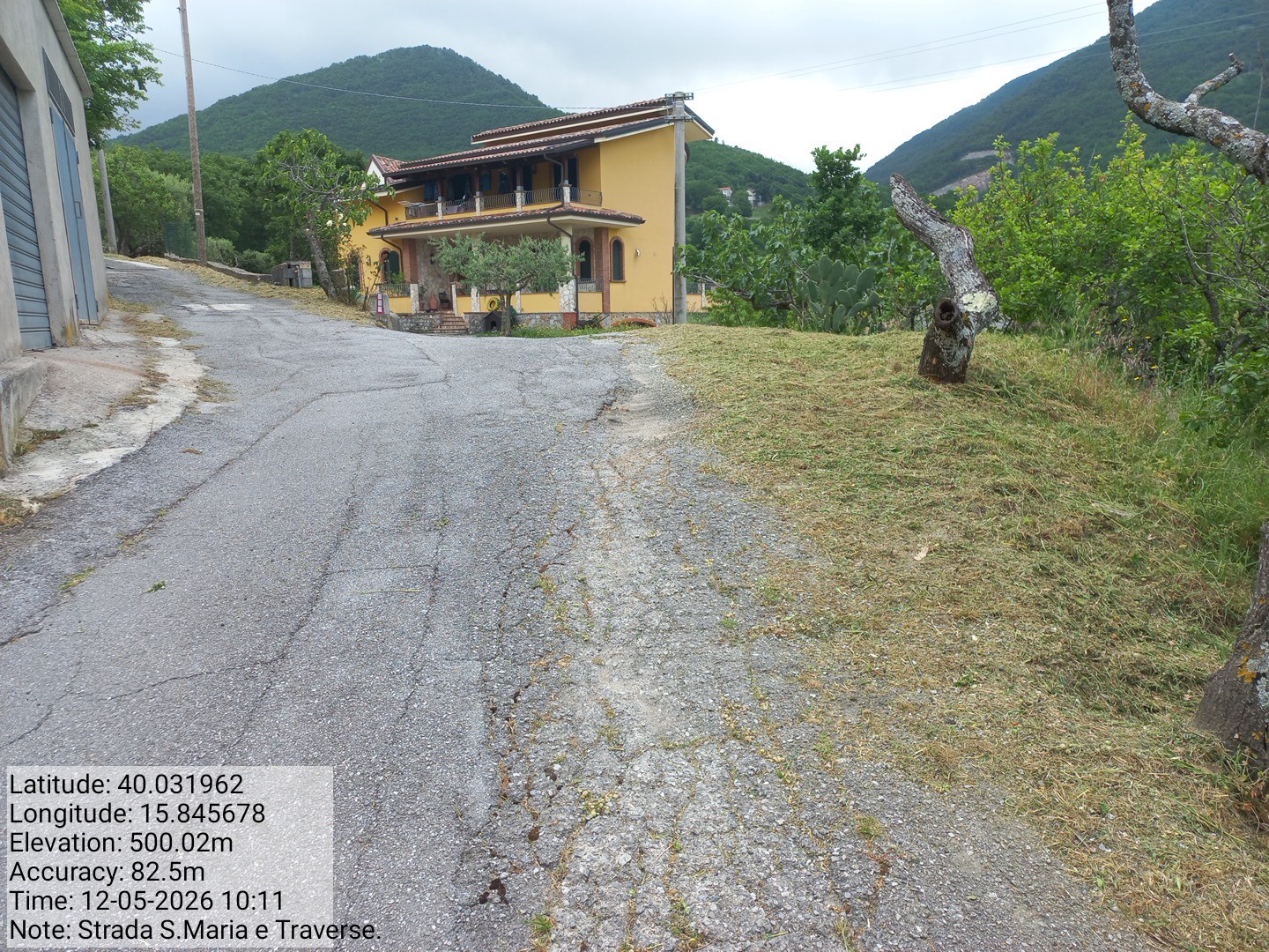Galleria Fotografica Immagine