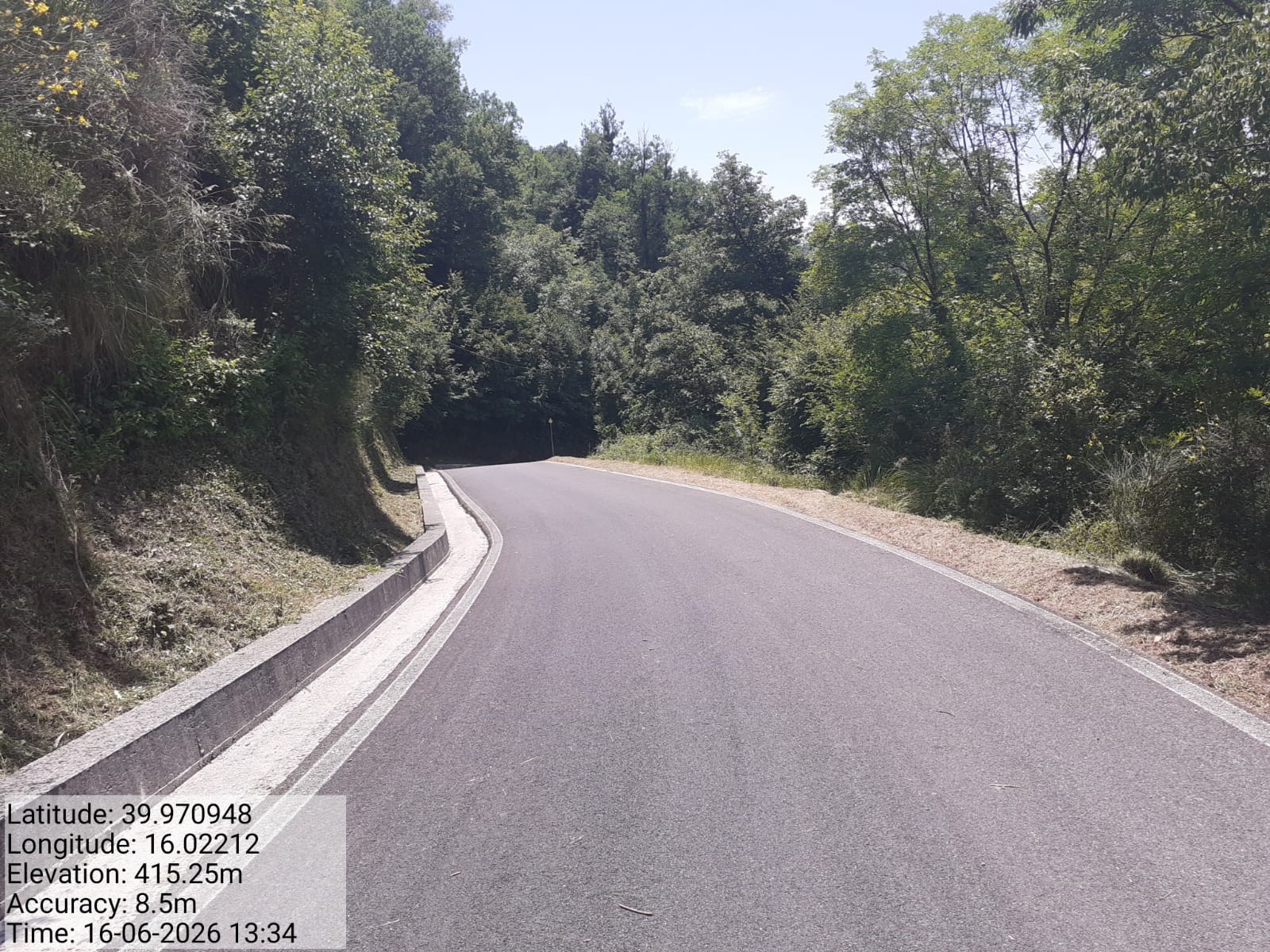 Galleria Fotografica Immagine