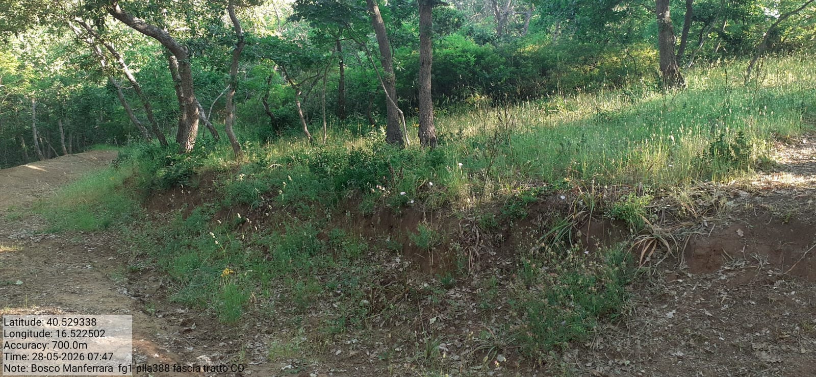 Galleria Fotografica Immagine
