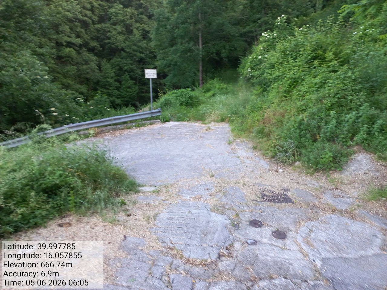 Galleria Fotografica Immagine