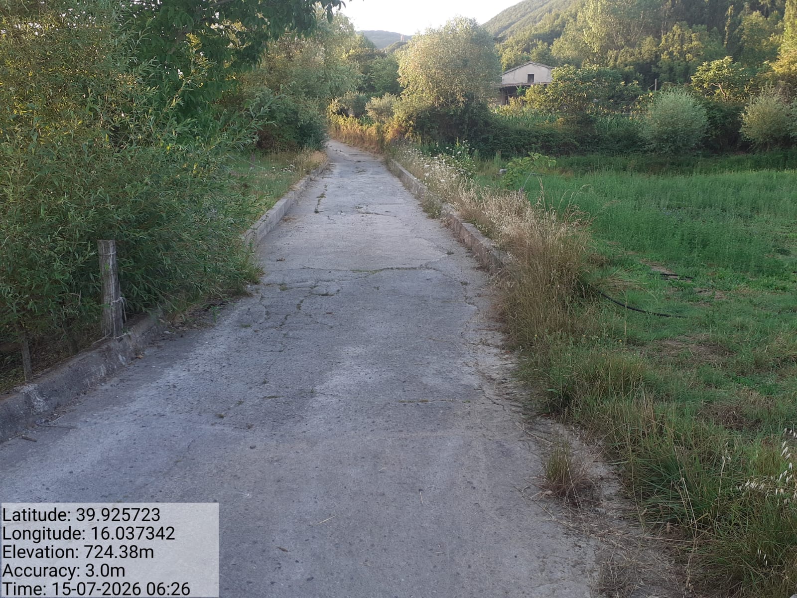Galleria Fotografica Immagine