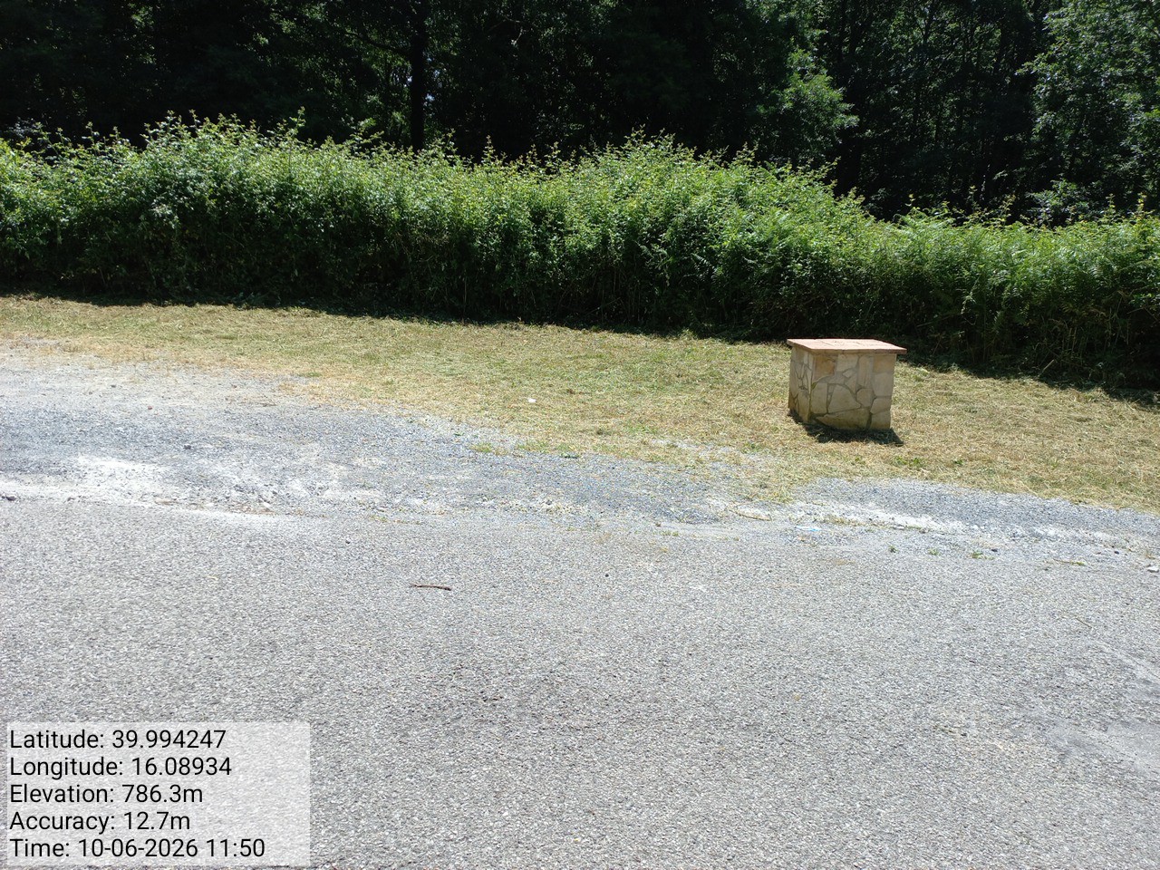 Galleria Fotografica Immagine