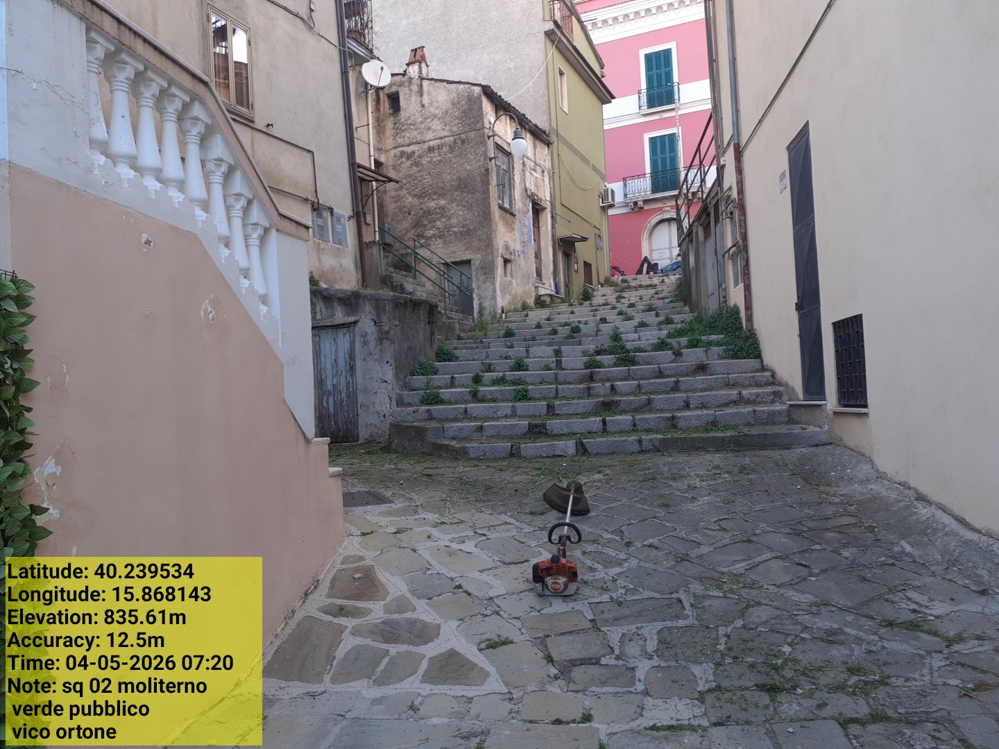 Galleria Fotografica Immagine
