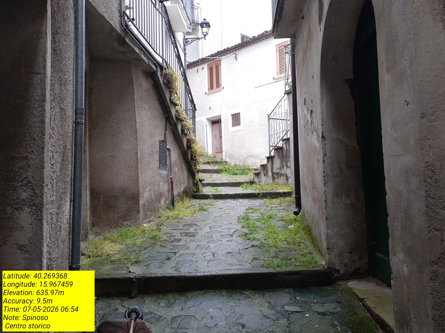 Galleria Fotografica Immagine