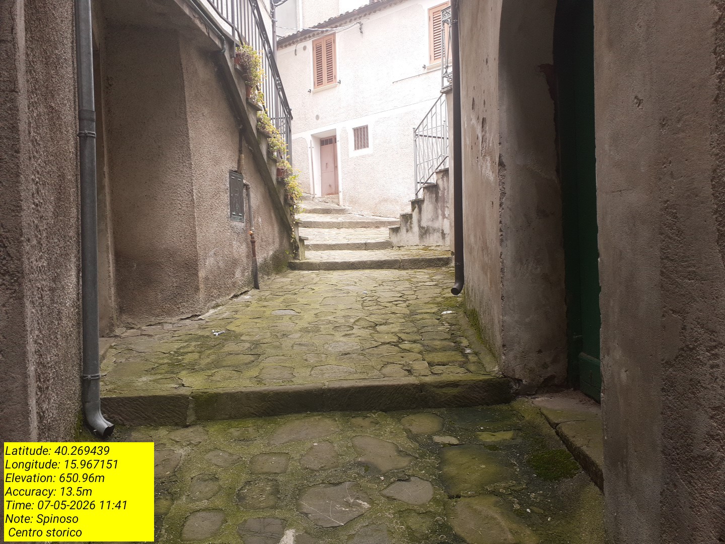 Galleria Fotografica Immagine