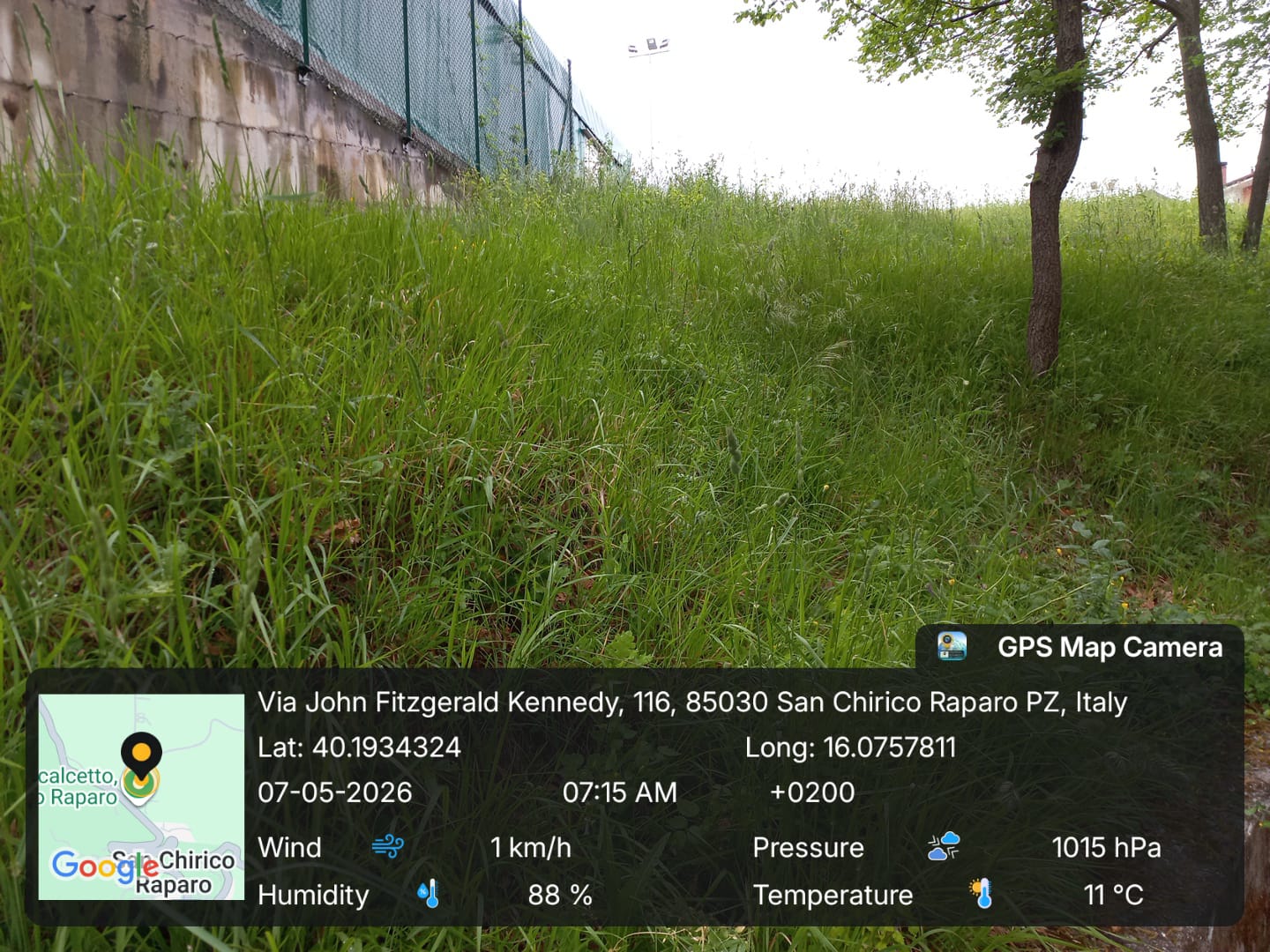Galleria Fotografica Immagine