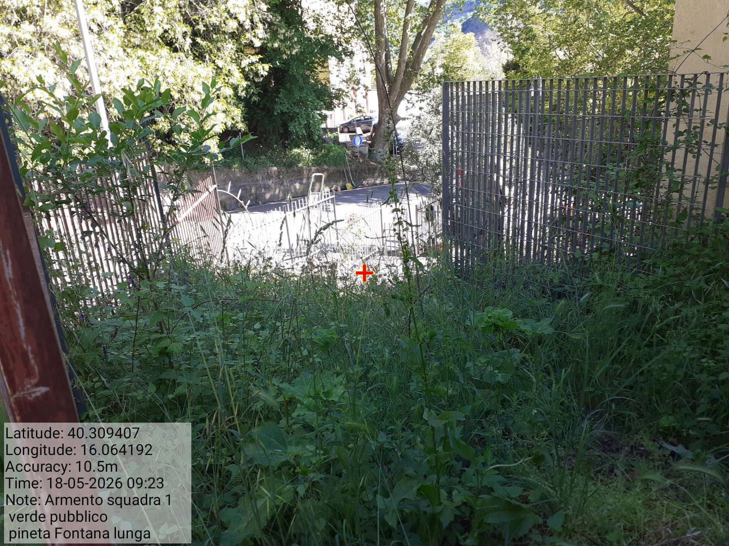 Galleria Fotografica Immagine