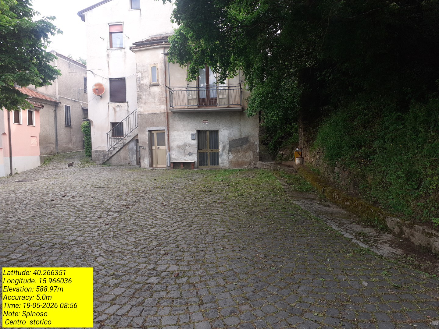 Galleria Fotografica Immagine