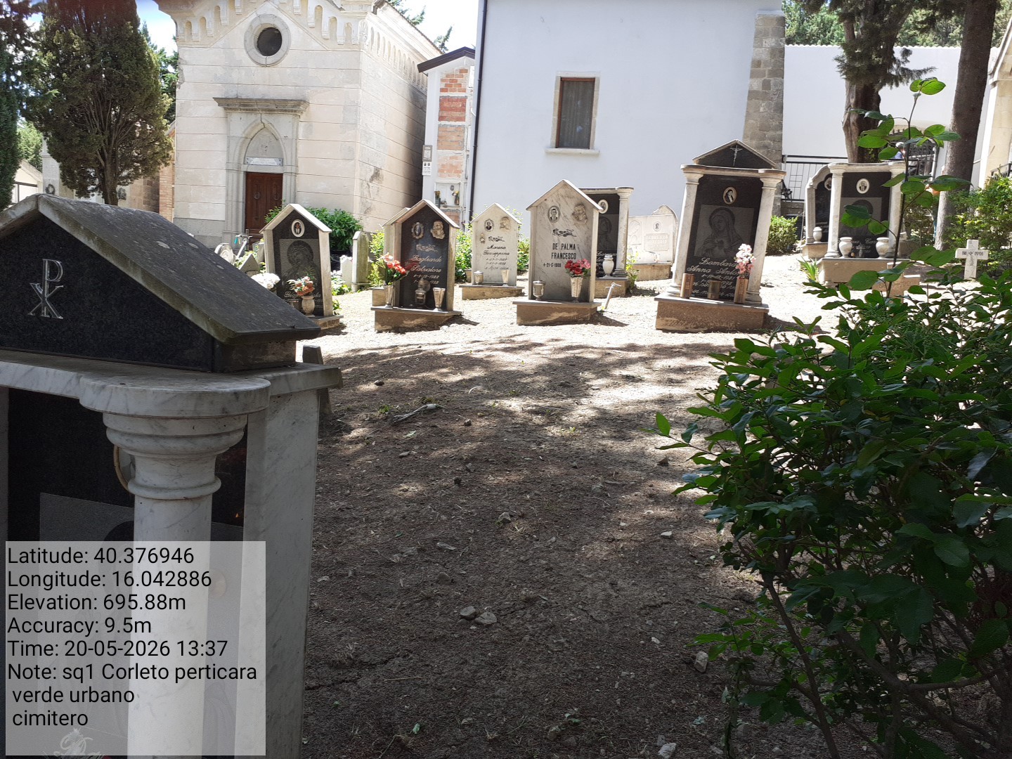 Galleria Fotografica Immagine
