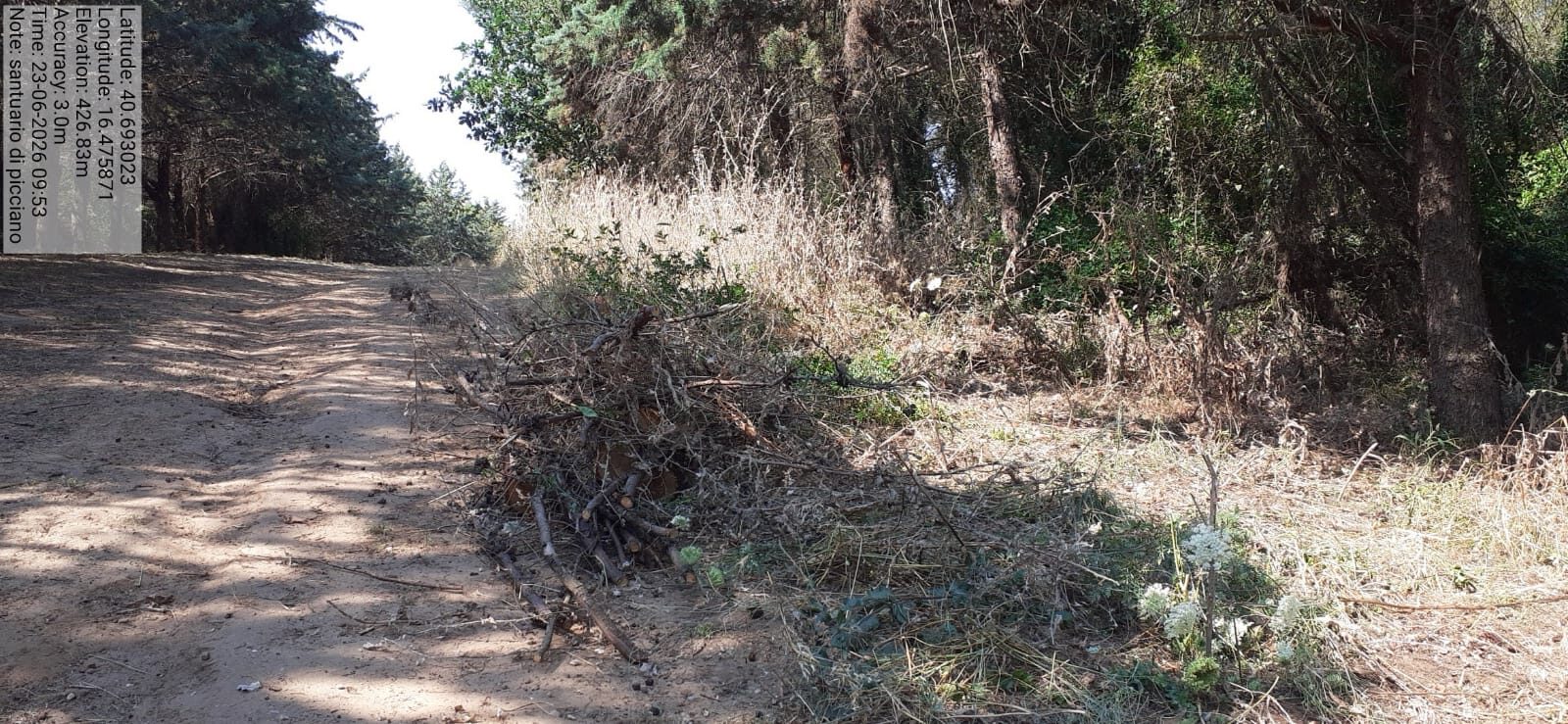 Galleria Fotografica Immagine