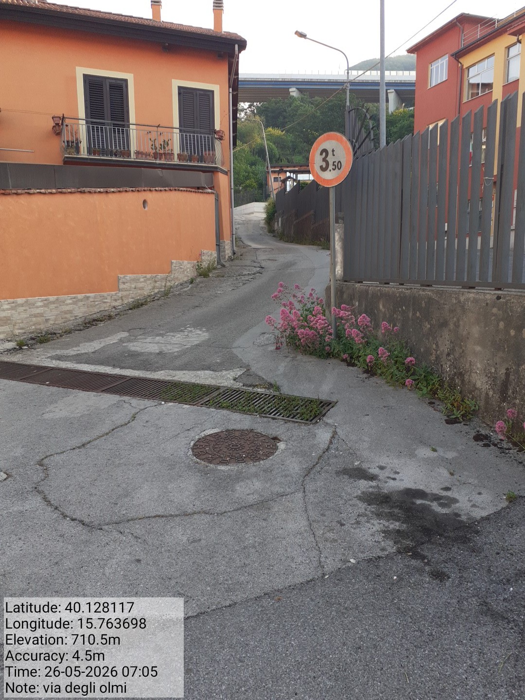 Galleria Fotografica Immagine