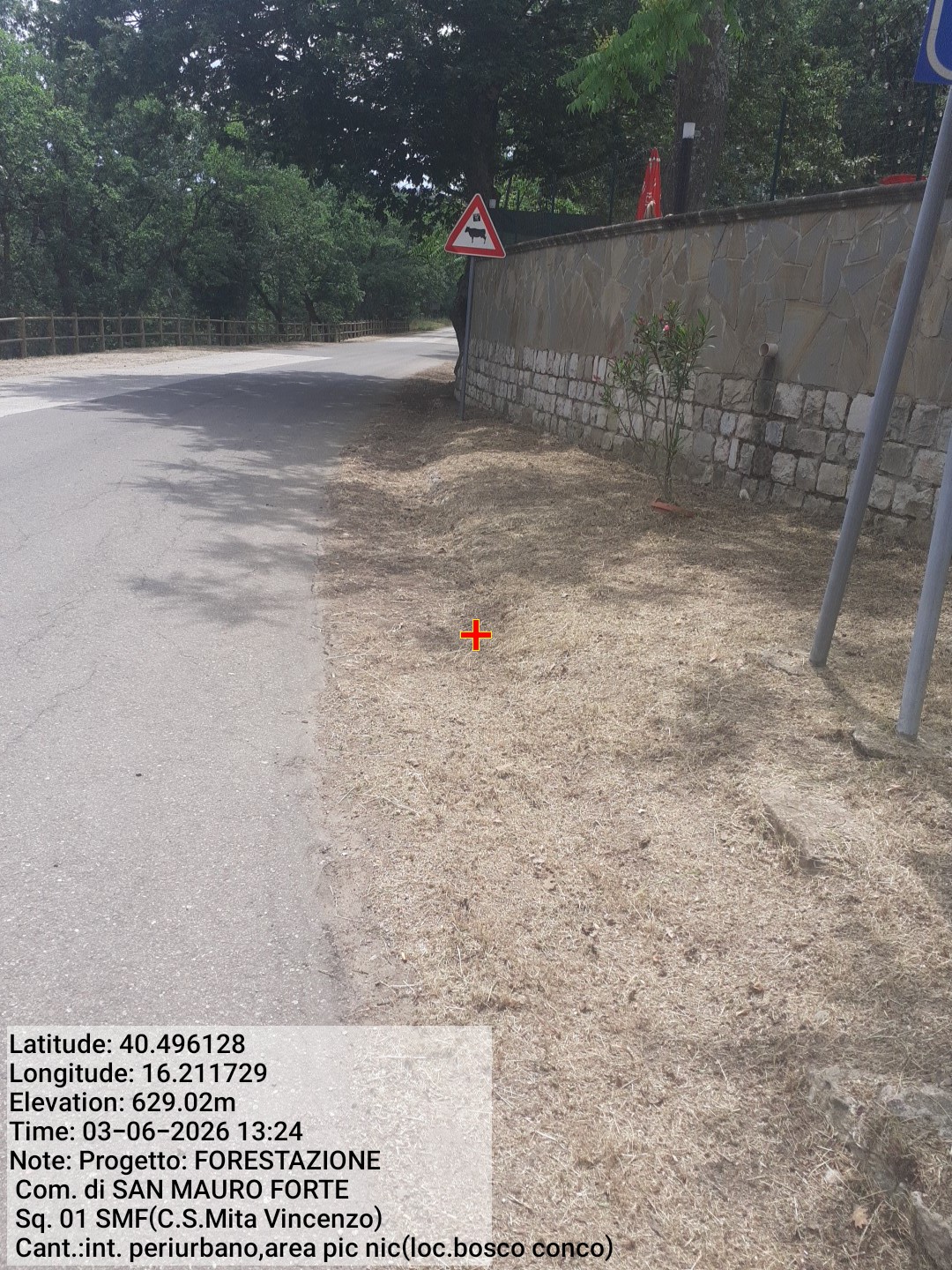 Galleria Fotografica Immagine