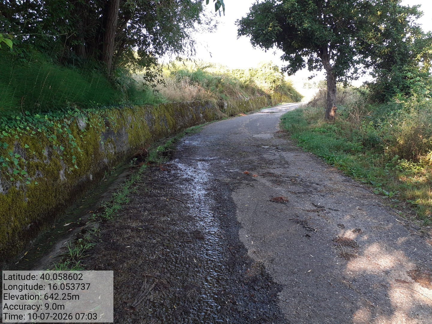 Galleria Fotografica Immagine