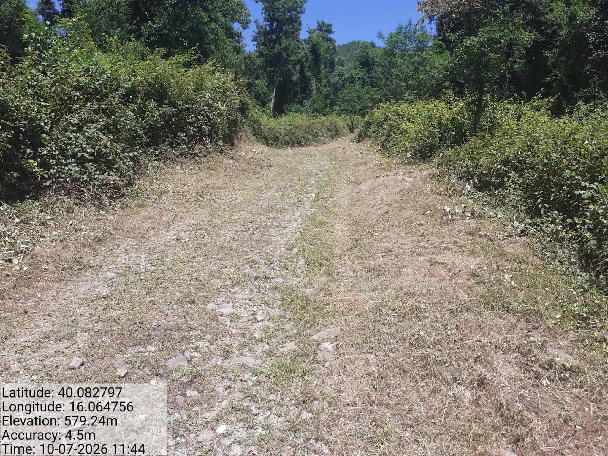 Galleria Fotografica Immagine