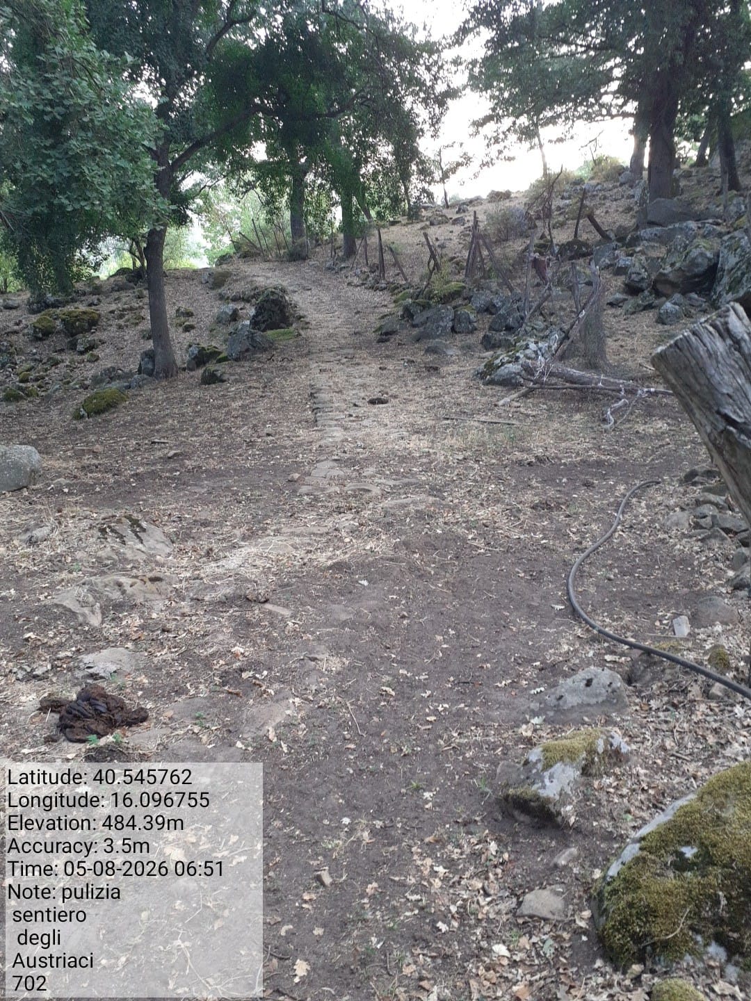 Galleria Fotografica Immagine