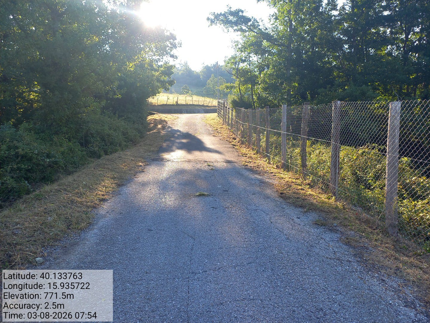 Galleria Fotografica Immagine