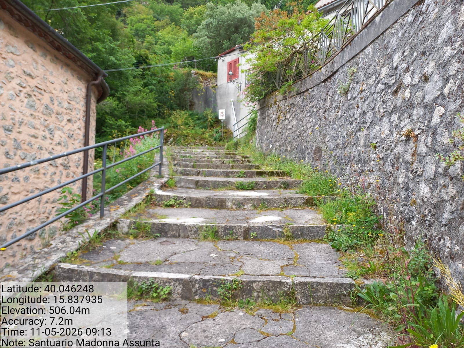 Galleria Fotografica Immagine
