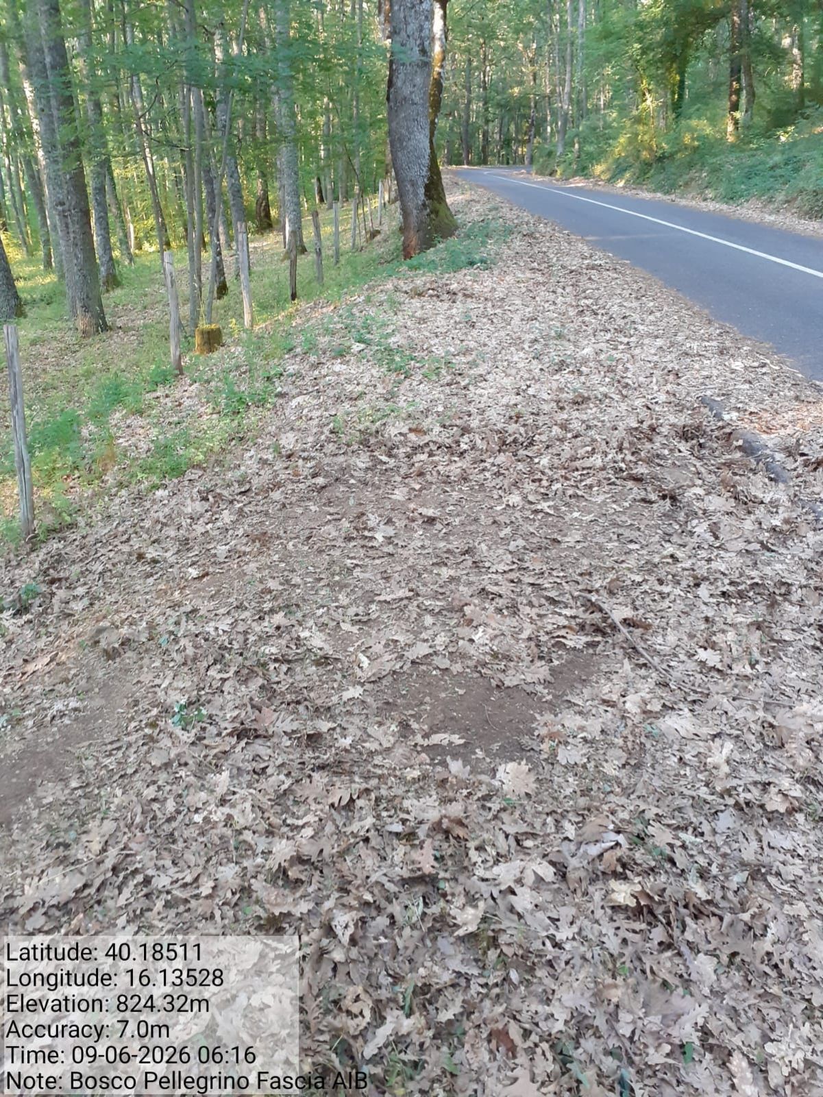 Galleria Fotografica Immagine