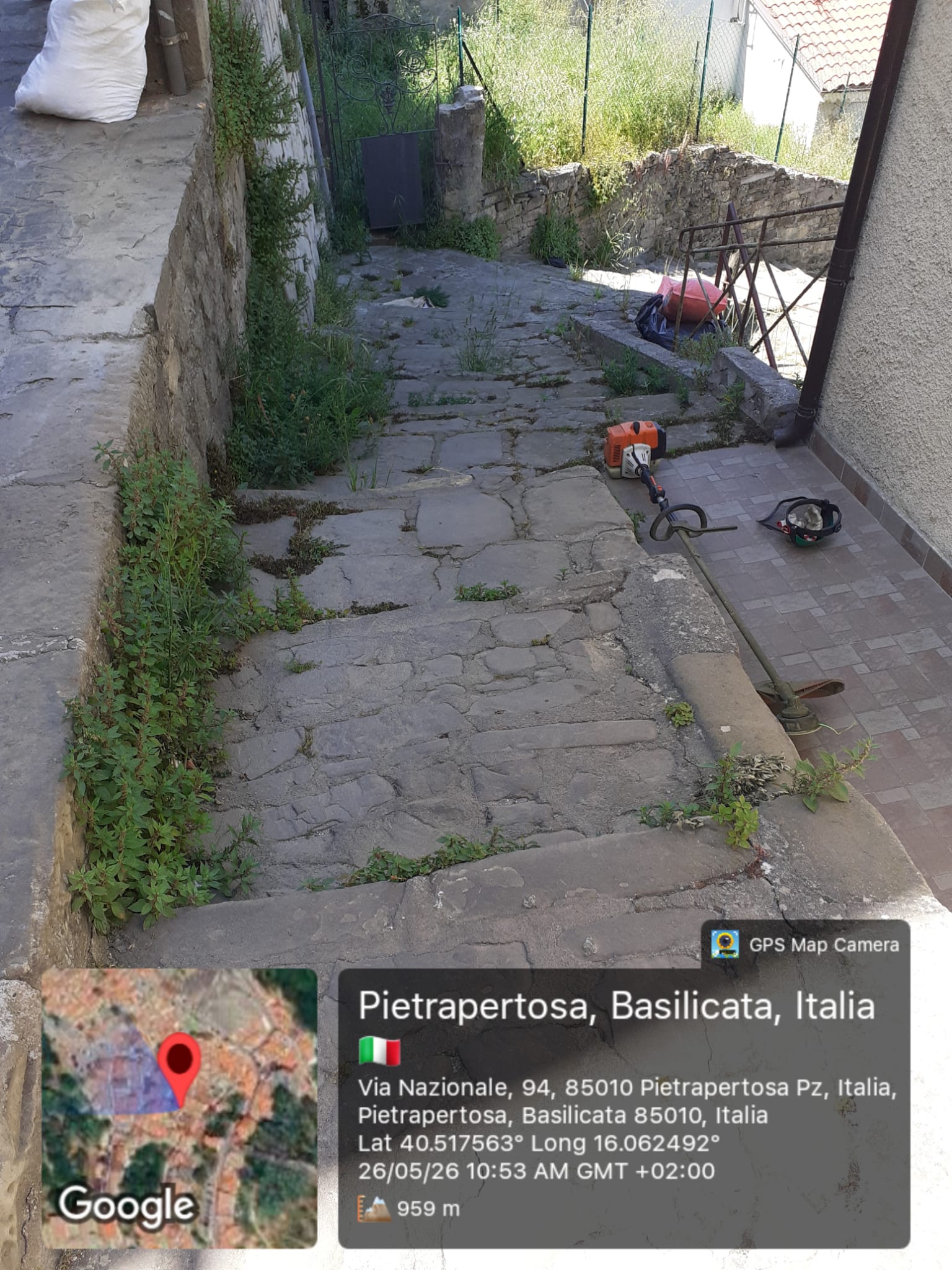Galleria Fotografica Immagine